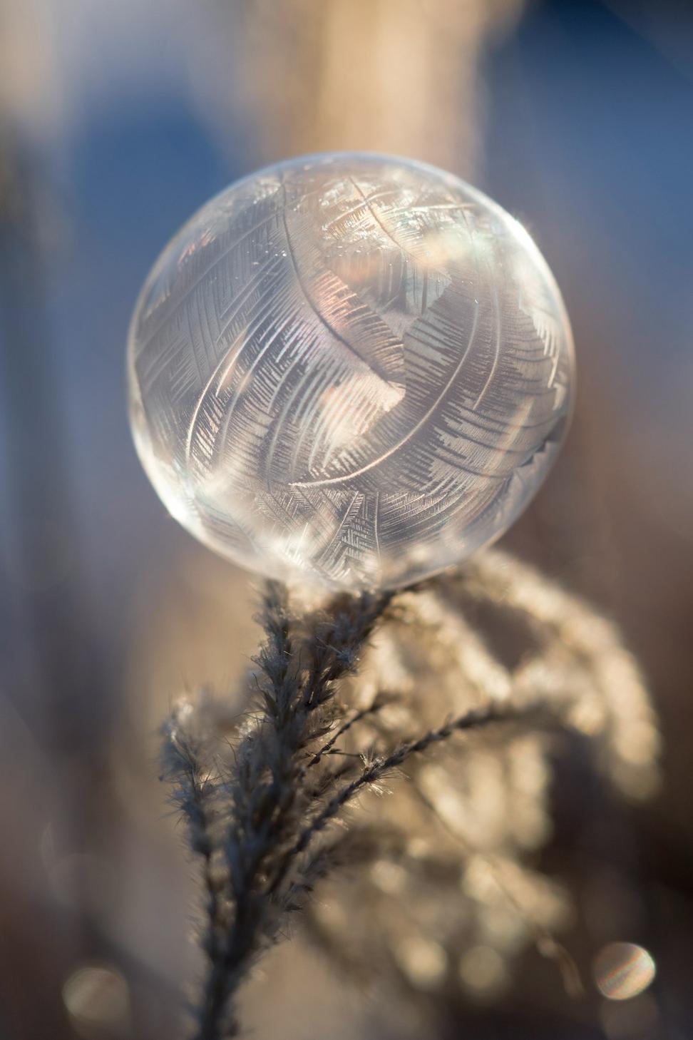 Mystical Communication Portal