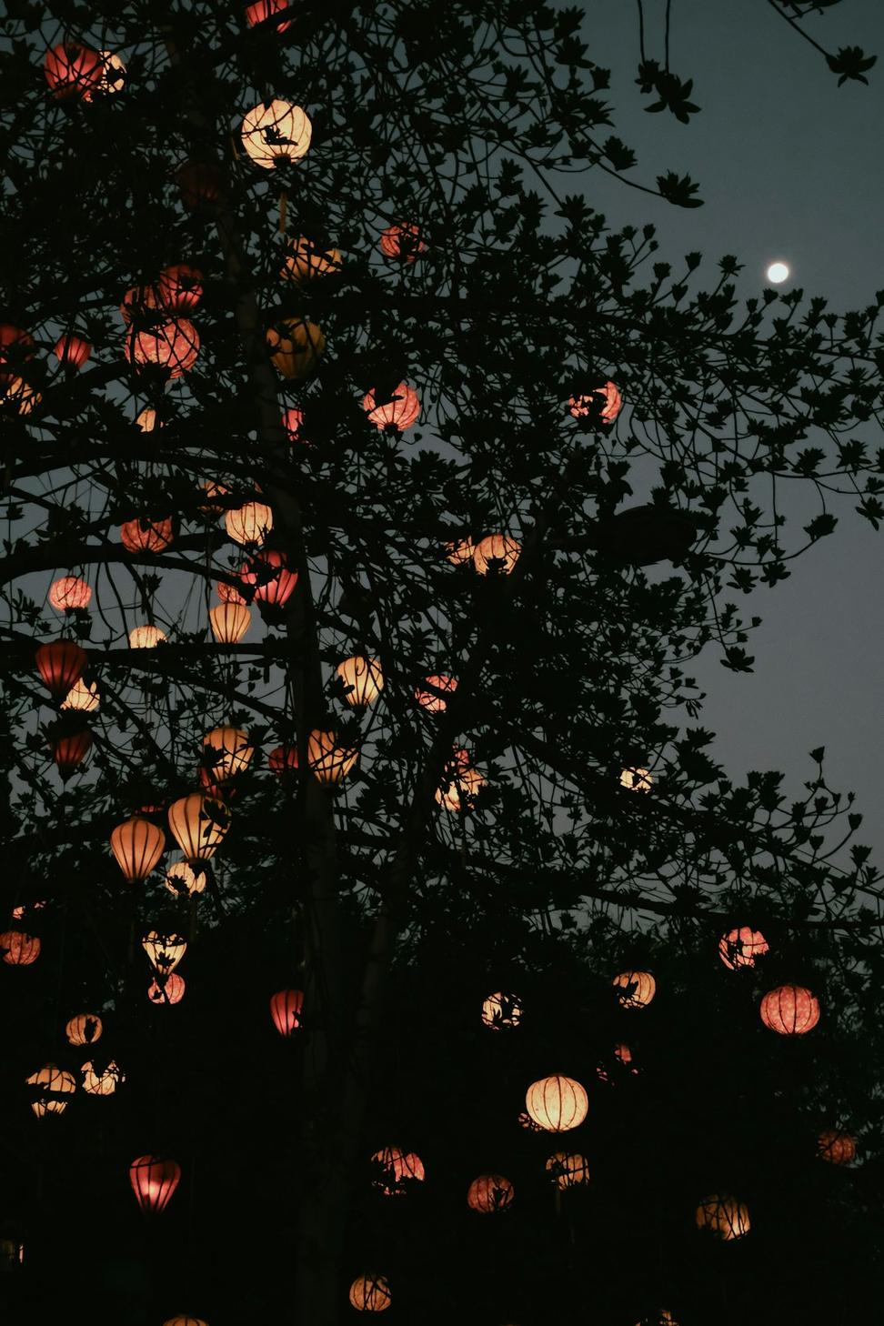 Forest Guardian's Haven Night