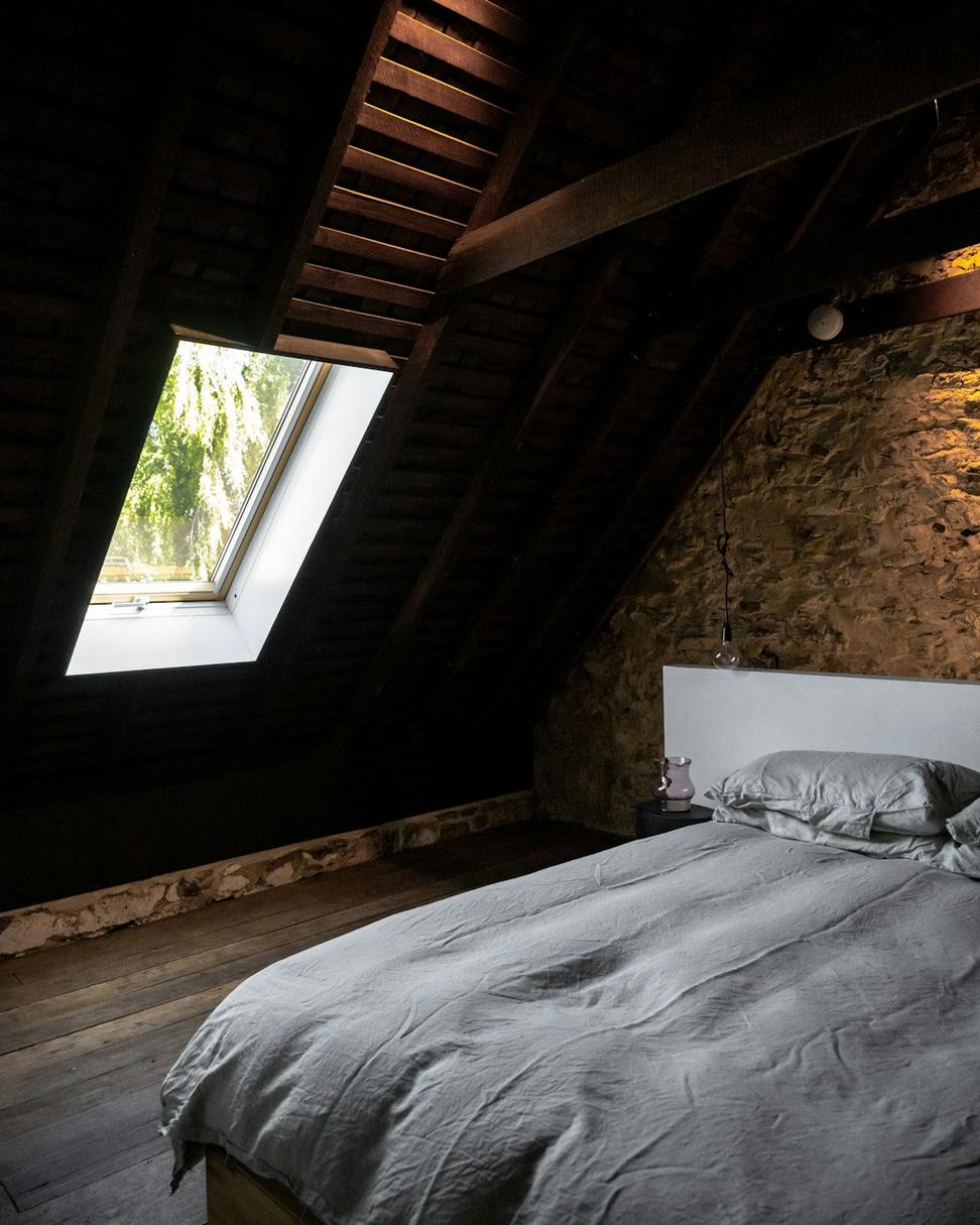 Forest Guardian's Haven